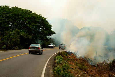 There are fires dotting the Mexican landscape.