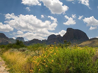 Looking toward the Chisos Basin, Big Bend National Park, Texas.
