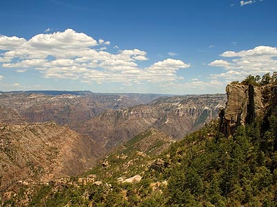 Copper Canyon as seen from the Divisadero viewpoint.