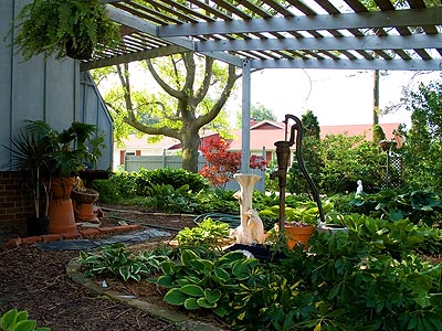 Only one small section of Ed and Lynn's garden.
